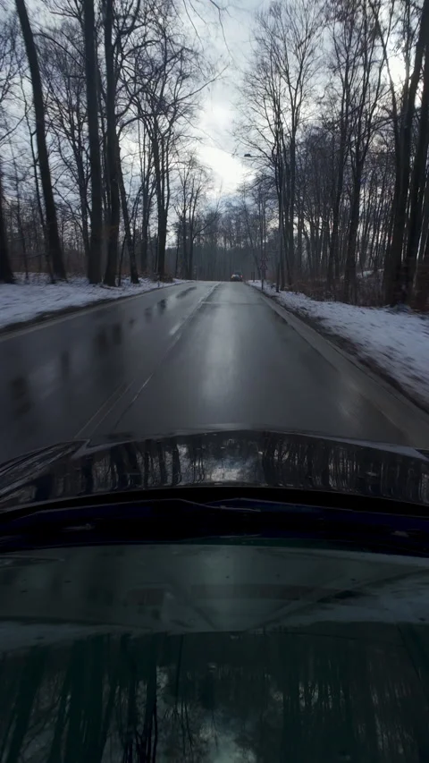 Approaching junction on wet forest road in winter Stock-Footage 331010882