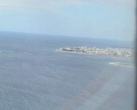 Approaching Male Vidéo 93768