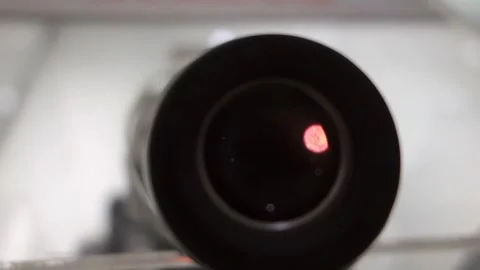 Approaching the microscope lens, viewing Trypanosoma cruzi parasitic protozoan Stock Footage 297187849