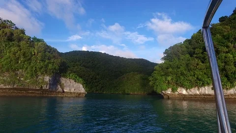Approaching Milky Way Limestone Mud Pool in Palau Stock Footage 93263387