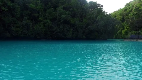 Approaching Milky Way Limestone Mud Pool in Palau Stock Footage 93263866