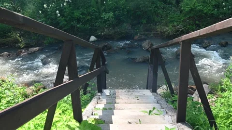 Approaching mountain river on footbridge Stock-Footage 283983371