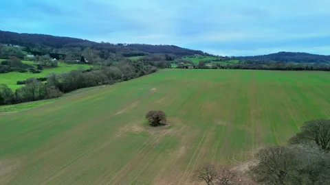 Approaching Nature: Slow Drone Descent Towards a Lone Tree in Verdant Farmlan Stock Footage 269851702