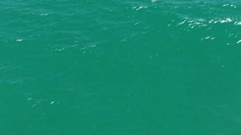 Approaching the Ocean on a Sunny Beach Stock Footage 308669911