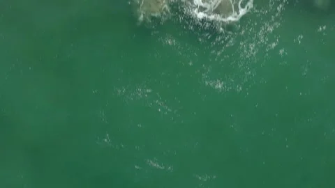 Approaching the Ocean on a Sunny Beach Stock Footage 308669989