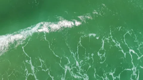 Approaching the Ocean on a Sunny Beach Stockbeeldmateriaal 308670026