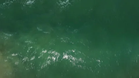 Approaching the Ocean on a Sunny Beach Stockbeeldmateriaal 308670034