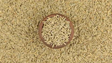 Approaching of the pot with rye standing on a pile of grain. Stock Footage 81328651