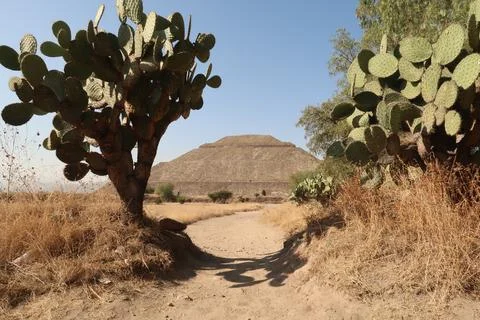 Approaching the Pyramid of the Sun while passing cactuses in a desert-like .. Stock Photos