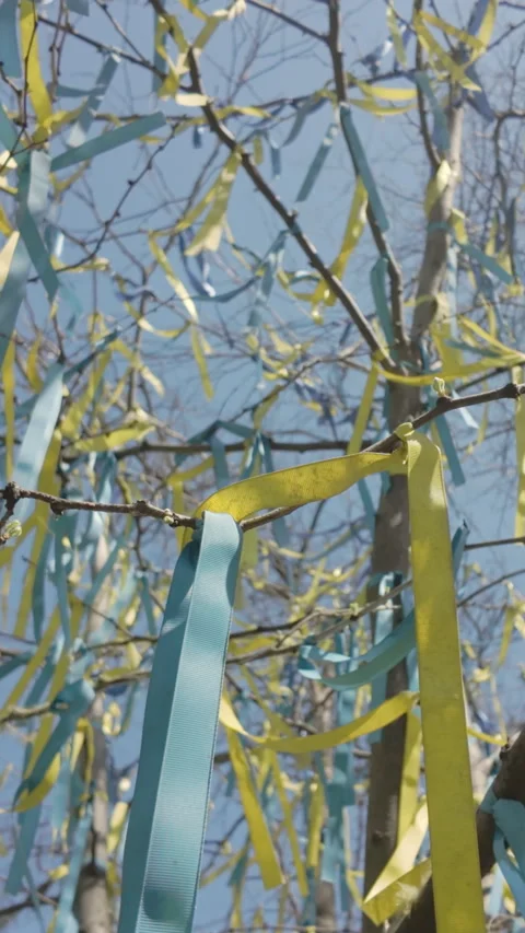 Approaching to set of yellow and blue ribbons, symbolising flag of Ukraine, tied Stock Footage 327973659