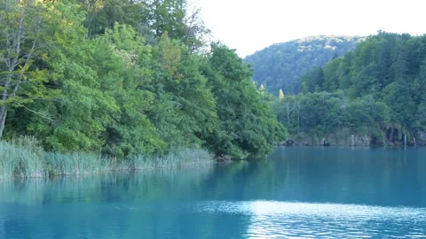 Approaching Shore, Plitvice Lakes Stock Footage 293243732