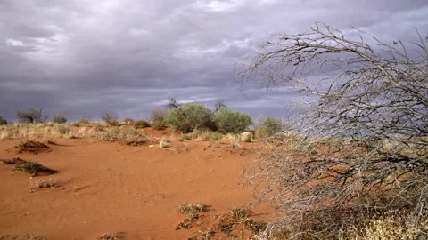 Approaching Simpson Desert storm Stock Footage 236431895