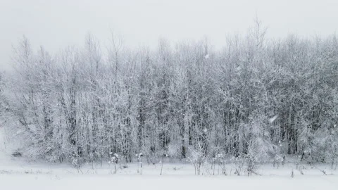 Approaching snow-covered trees in a snowfall Vídeo Stock 166364086
