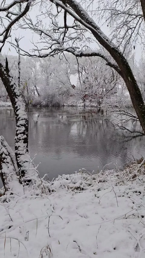 Approaching a snow-covered winter river with frost-covered trees and calm, m Stock Footage 321180471
