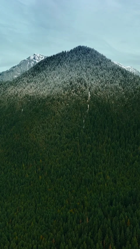 Approaching the spectacular mount covered with green pine tree forest. Scenery Stock Footage 337716403