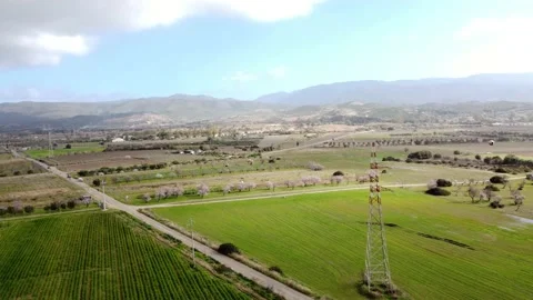 Approaching spring with some flowering trees Video stock 169633047