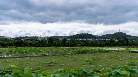 Approaching Storm Clouds Building Over Landscape Timelapse Video stock 320860366