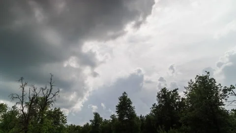 Approaching stormy clouds above green forest tree tops at windy summer day Stock Footage 197817103