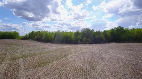 Approaching the trees Stock Footage 77719706