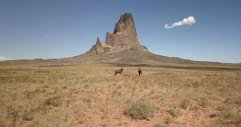 Approaching two wild horses grazing in front of spectacular desert mountain Stock Footage 117802460