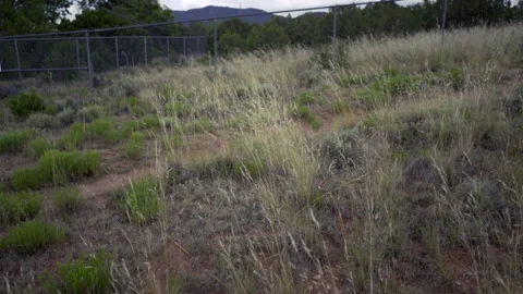 Approching Storm - Grass in the wind Video stock 196837579