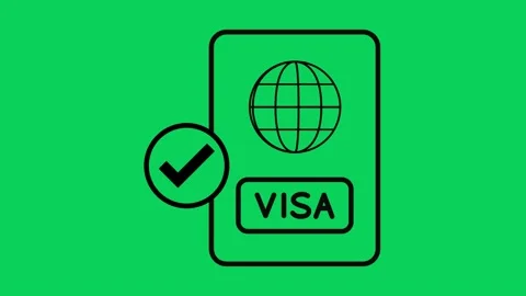 Approved Visa Application 2D Animation Stock Footage 331360369