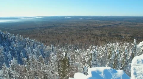 Approximation to the lonely rock in the middle of a thick winter forest 스톡 동영상 61155906