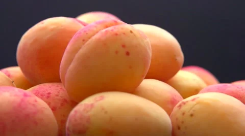 Apricot. Apricots on a black background rotating 360. 스톡 동영상 54792512