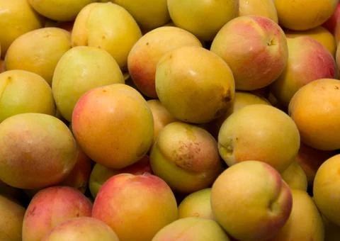 Apricot as a background Stock Photos