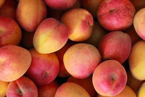 Apricot background Stock Photos