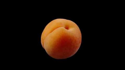 An apricot on a black background rotates in close-up, isolated. Stock Footage 244909290