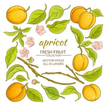 Apricot elements set Stock Illustration