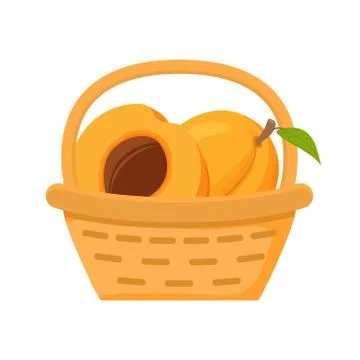 Apricot fruit basket. Flat vector illustration. Harvesting fruits. Stock Illustration