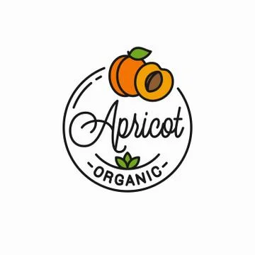 Apricot fruit logo. Round linear of apricot slice Stock Illustration