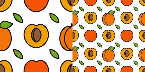 Apricot fruit pattern. Linear pattern of slice Stock Illustration