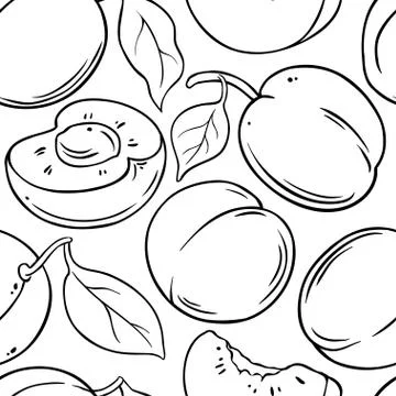 Apricot fruit vector pattern Stock Illustration