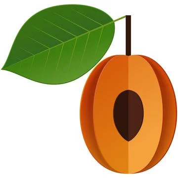 Apricot fruit vector slice ripe nectarine icon Stock Illustration