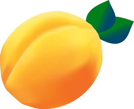 Apricot Stock Illustration