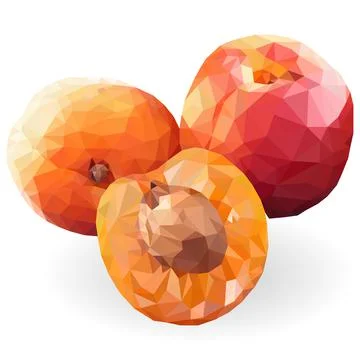 Apricot Stock Illustration