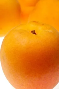 Apricot isolated Stock Photos
