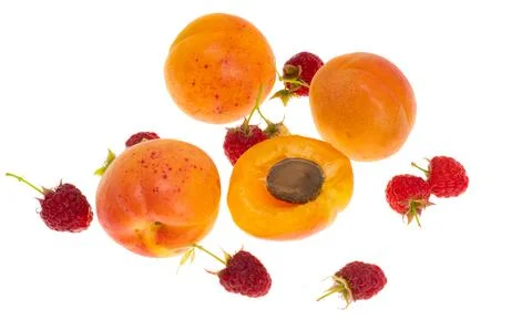 Apricot isolated Stock Photos
