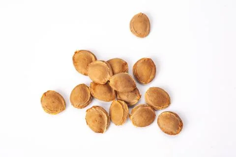 Apricot kernel isolated on white background Stock Photos