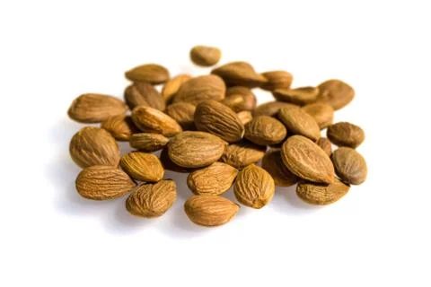 Apricot kernel / nuts isolated on white background. Stock Photos