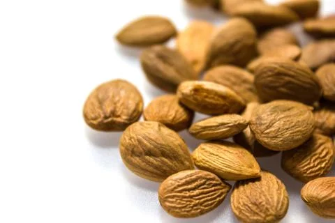 Apricot kernel / nuts isolated on white background. Stock Photos