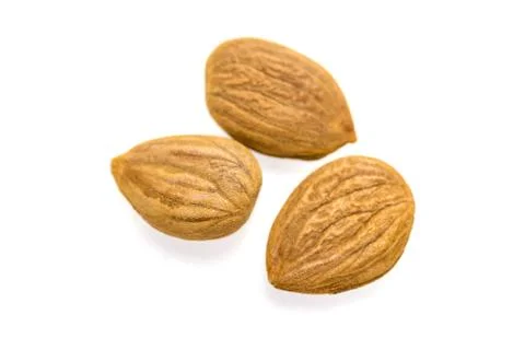 Apricot kernel / nuts isolated on white background. Stock Photos