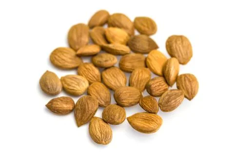 Apricot kernel / nuts isolated on white background. Stock Photos