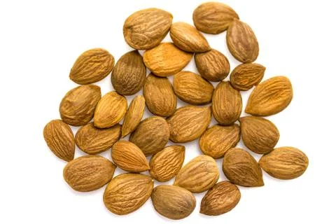 Apricot kernel / nuts isolated on white background. Stock Photos