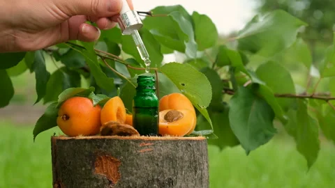 Apricot kernel oil in a bottle. Selective focus. Stock Footage 244776615