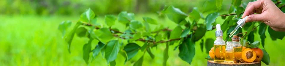 Apricot kernel oil in a bottle. Selective focus. Stock Photos