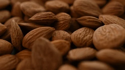Apricot kernels bitter almonds Video stock 111955260